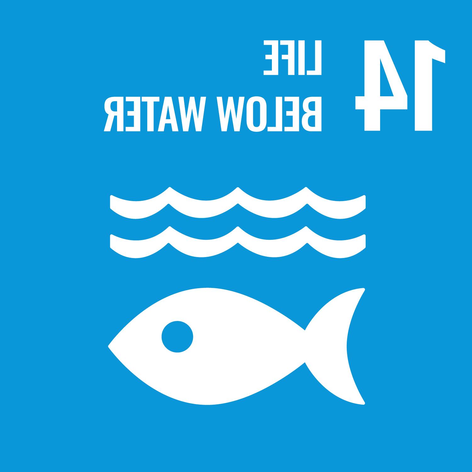 United 赌博平台's 17 Sustainable Development Goals: Goal Number 14: Life Below Water