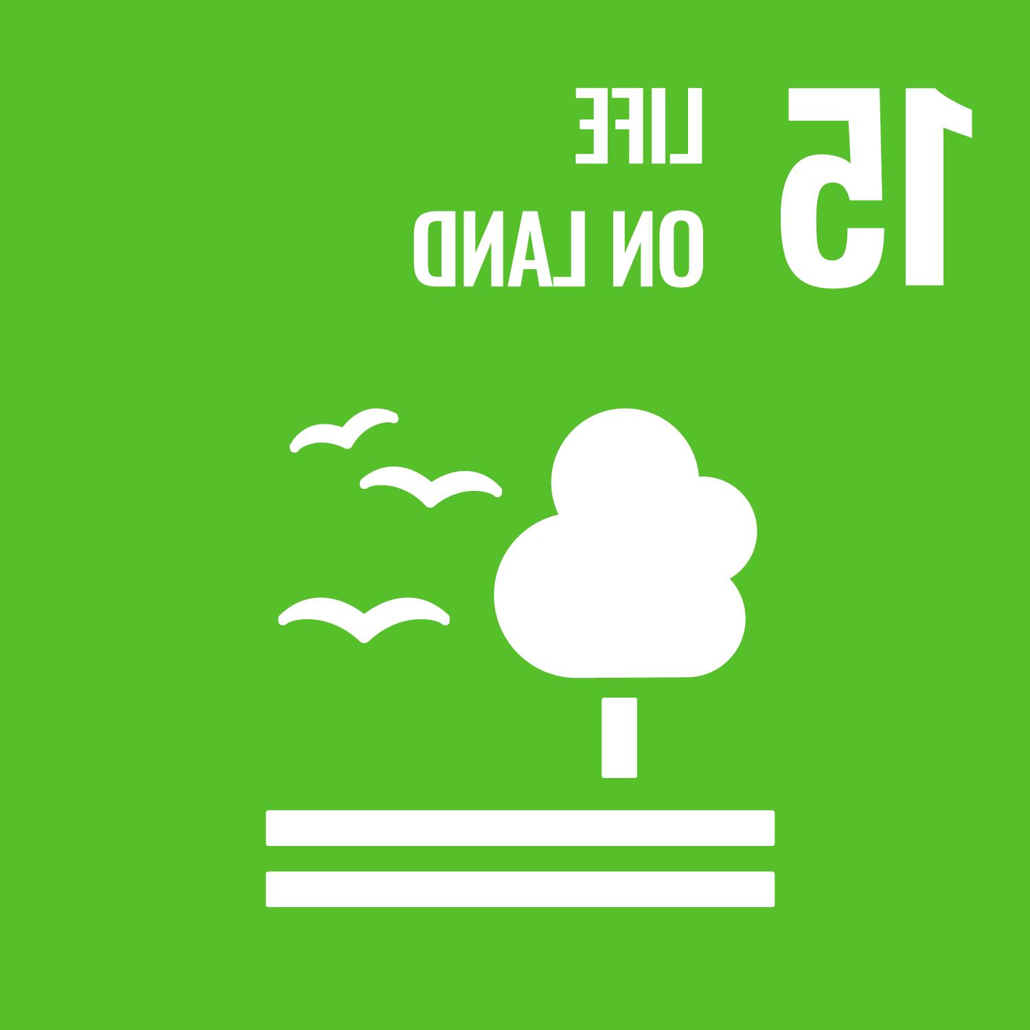 United 赌博平台's 17 Sustainable Development Goals: Goal Number 15: Life on Land